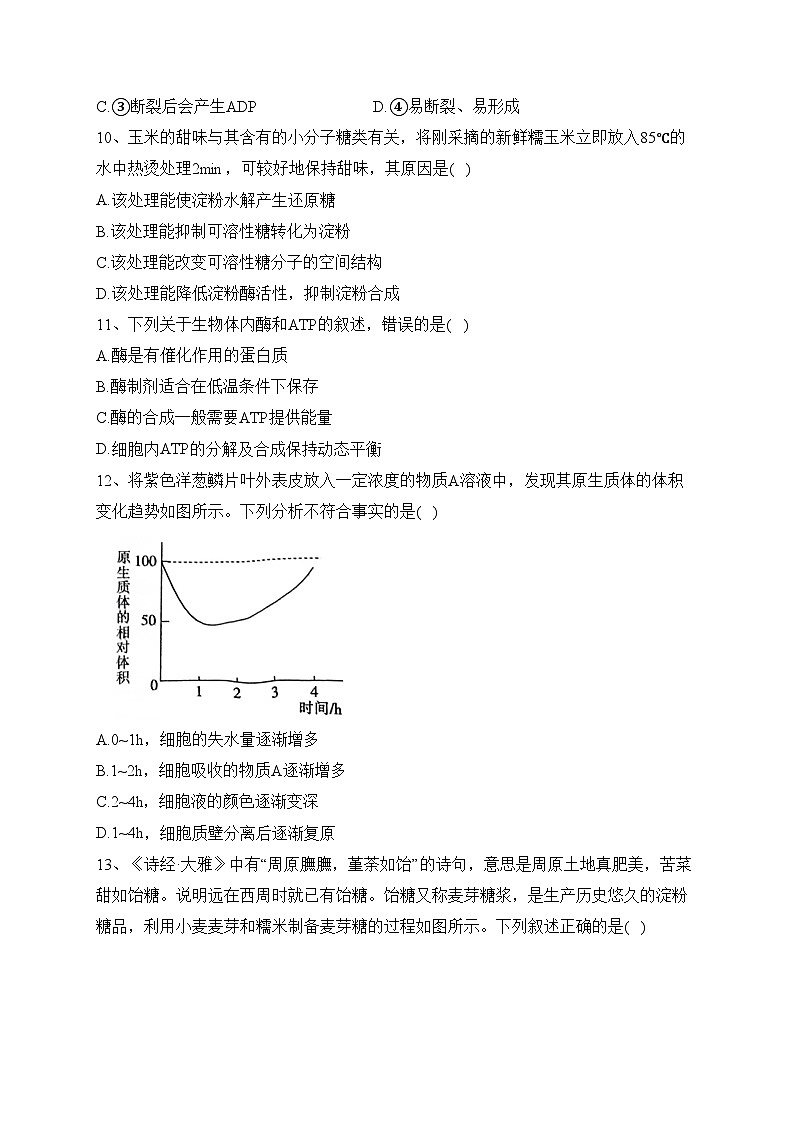河北省保定市部分高中2023-2024学年高一上学期12月考试生物试卷(含答案)03