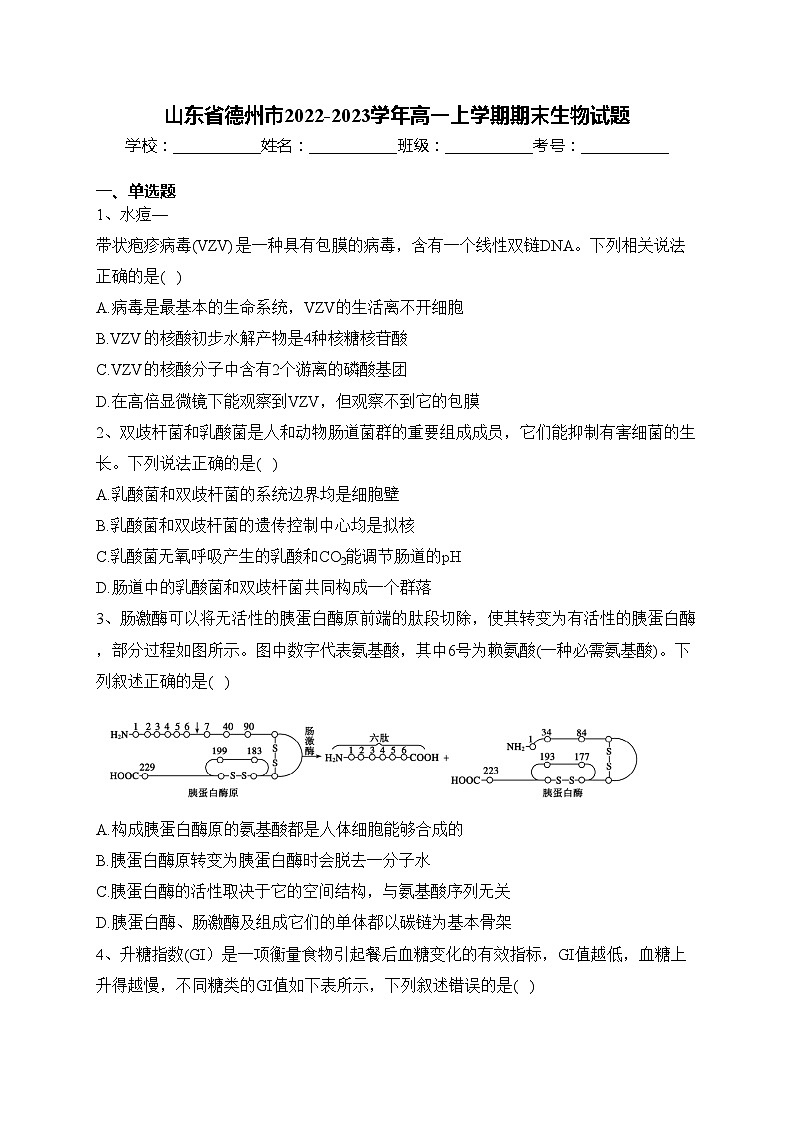 山东省德州市2022-2023学年高一上学期期末生物试题(含答案)第1页