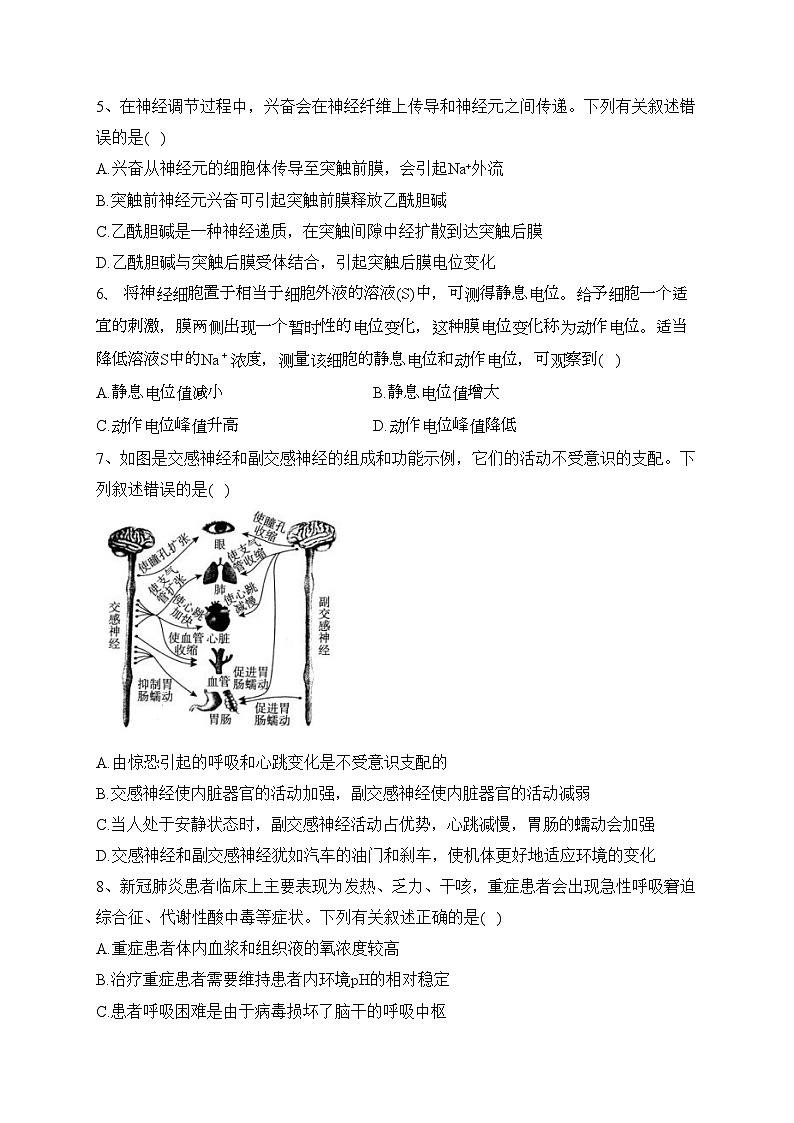 四川省仁寿第一中学校北校区2023-2024学年高二上学期期中考试生物试卷(含答案)第2页