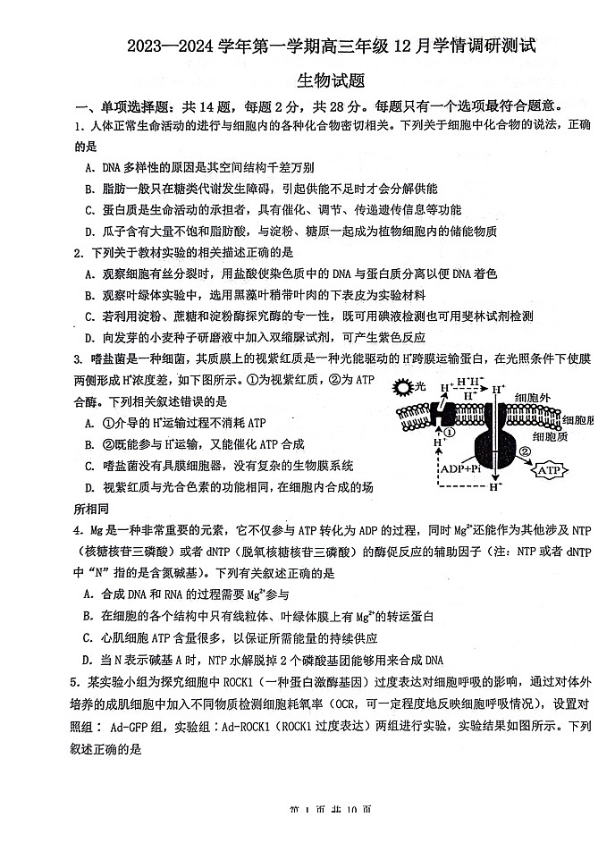 江苏省扬州市高邮市2023-2024学年高三上学期12月学情调研测试生物试题01