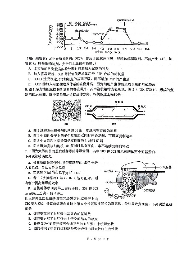 江苏省扬州市高邮市2023-2024学年高三上学期12月学情调研测试生物试题02