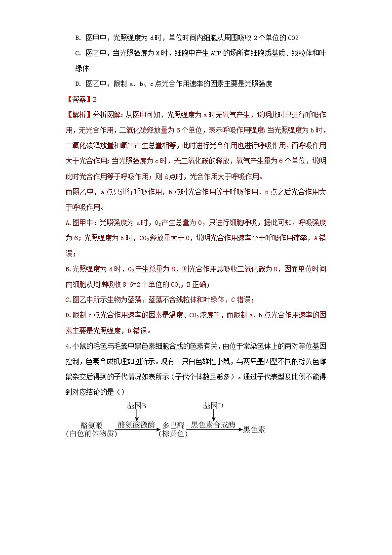 生物（黑龙江、吉林适用，15+5+5题型）全解全析第3页