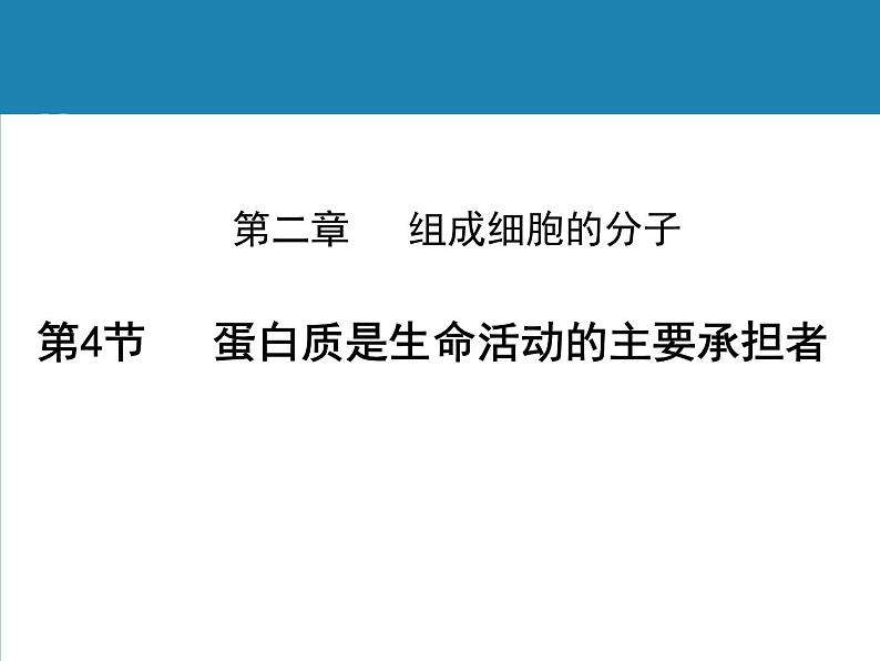 《蛋白质是生命活动的主要承担者》课件第1页