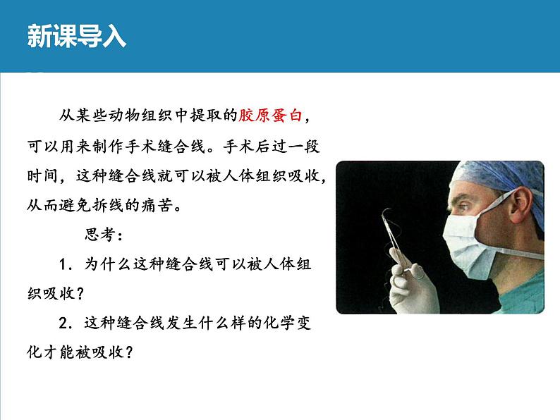 《蛋白质是生命活动的主要承担者》课件第3页