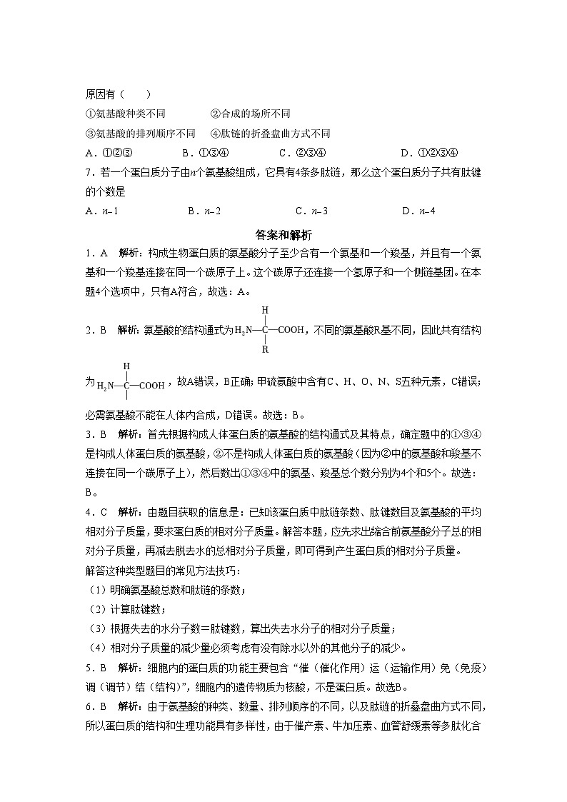 第4节 蛋白质是生命活动的主要承担者 同步练习（含答案）第2页
