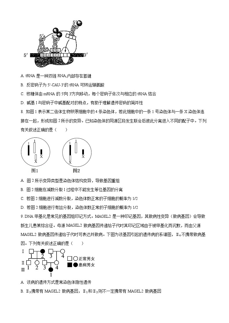 江苏省常熟市2023-2024学年高三上学期阶段性抽测二（12月）生物试卷（Word版附解析）03