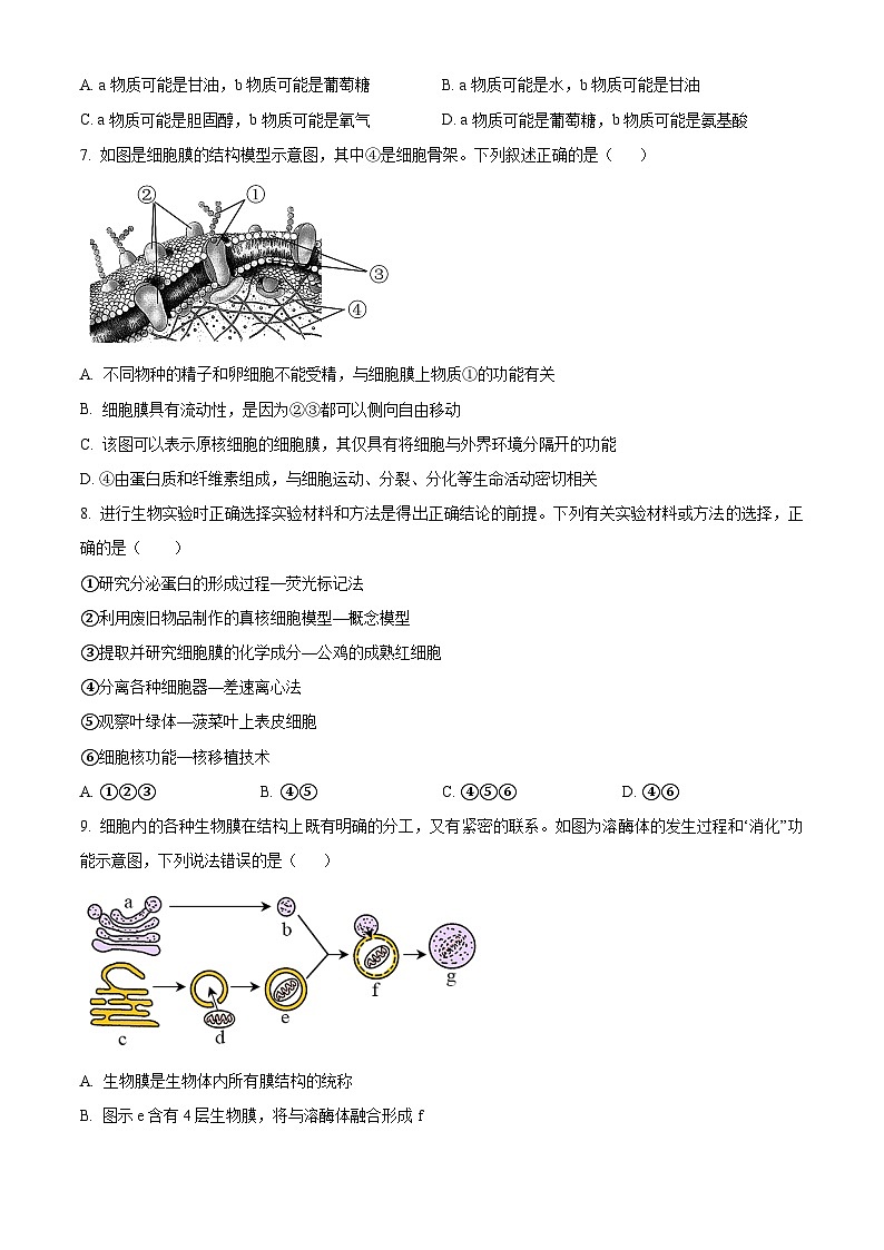 山东省泰安市第一中学东校2023-2024学年高一上学期期中考试生物试题（Word版附答案）第3页