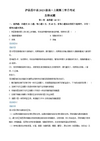 四川省泸州市泸县四中2023-2024学年高一上学期12月月考生物试题（Word版附解析）