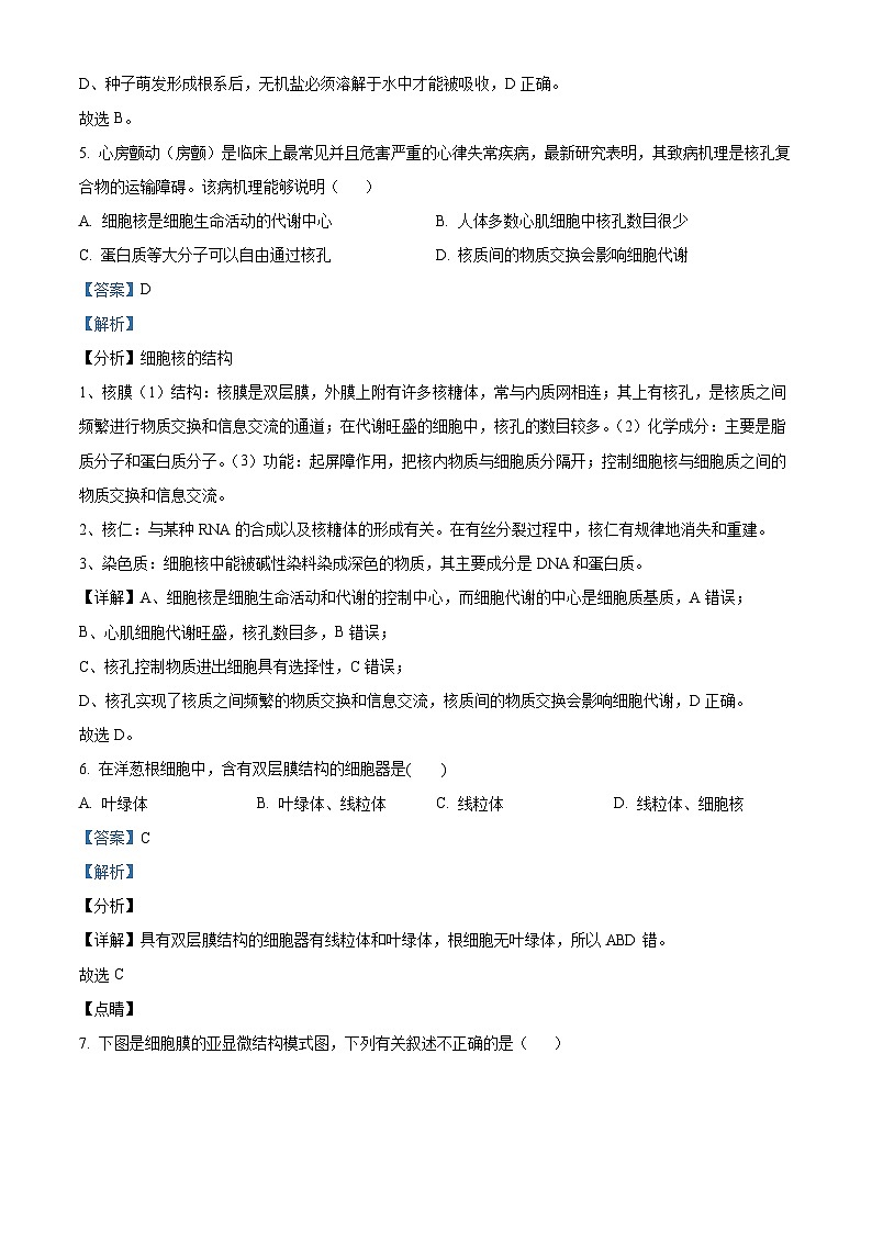 四川省泸州市合江县马街中学2023-2024学年高一上学期12月月考生物试题（Word版附解析）03
