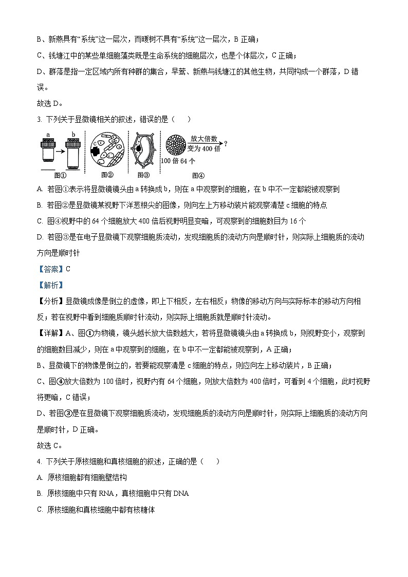 四川省南充市嘉陵第一中学2023-2024学年高一上学期12月月考生物试题（Word版附解析）第2页