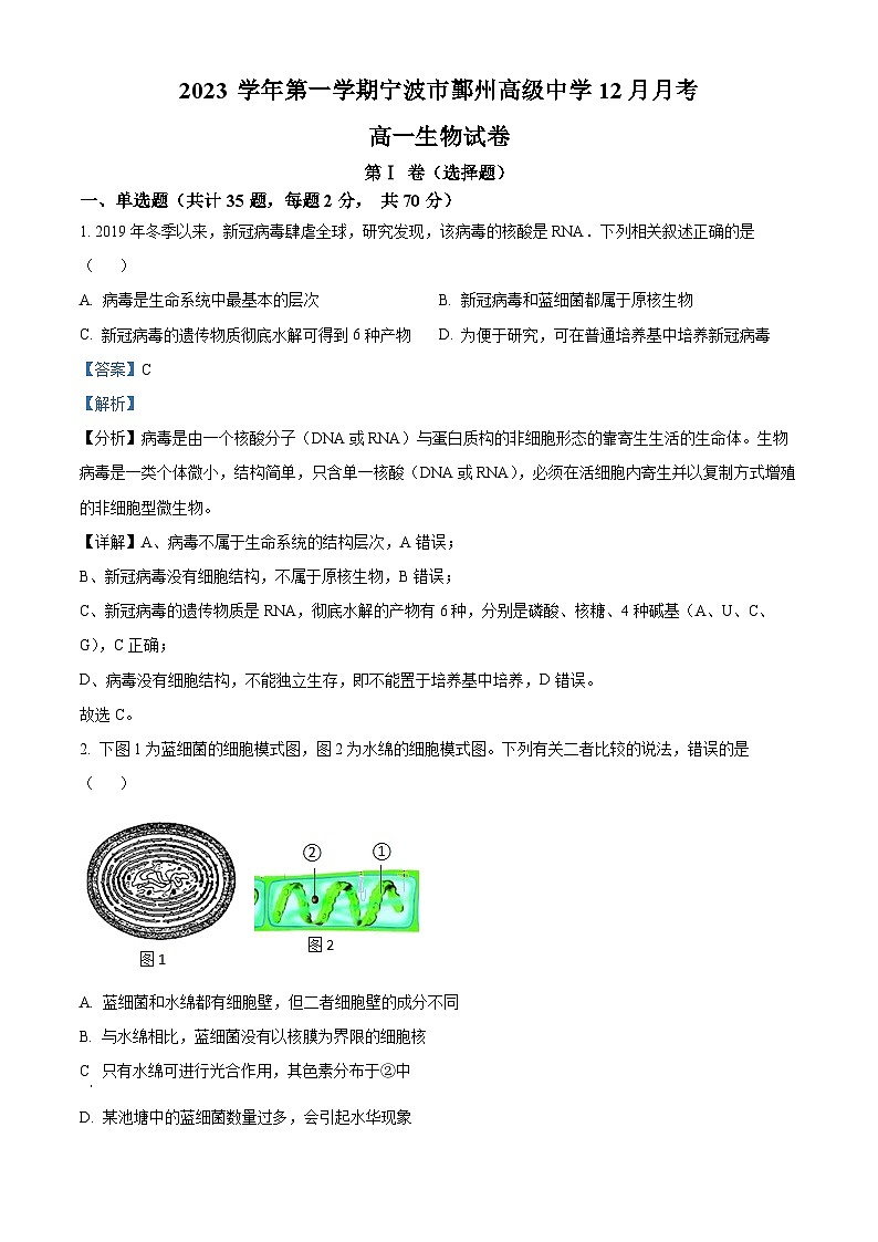 浙江省宁波市鄞州高级中学2023-2024学年高一12月月考生物试题（Word版附解析）第1页