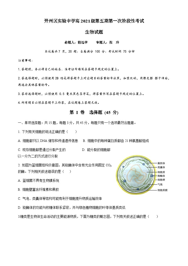 重庆市开州区实验中学2023-2024学年高三上学期第一次阶段性考试生物试题（Word版附答案）01