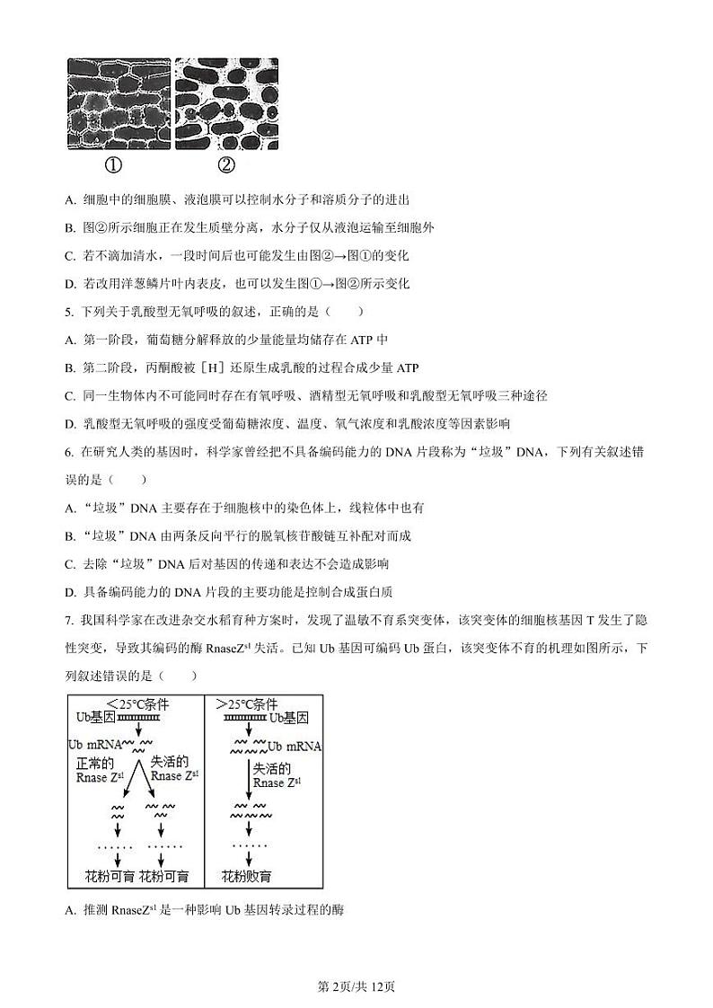 生物-河北省沧州市普通高中2023-2024学年高三上学期12月月考试题和答案02