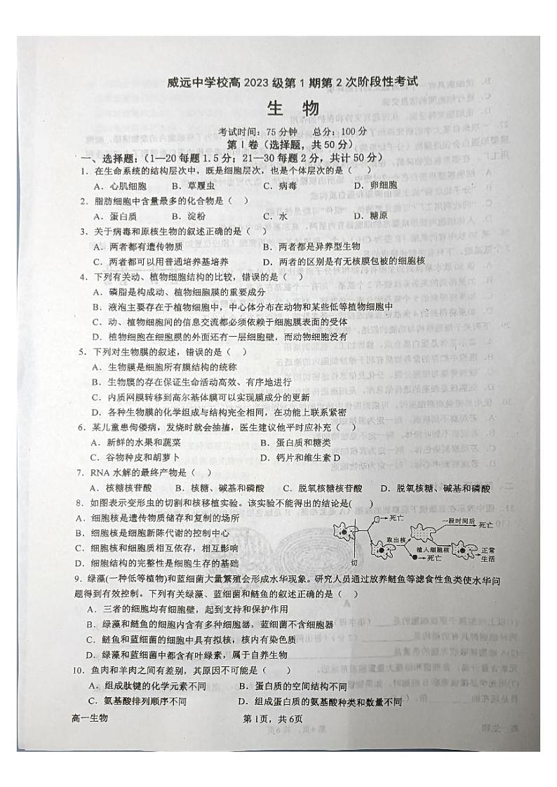 81，四川省内江市威远县2023-2024学年高一上学期12月月考生物试题第2页