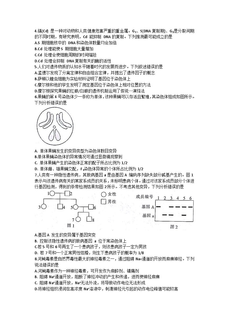 84，甘肃省靖远县2023-2024学年高三上学期12月联考生物试题02
