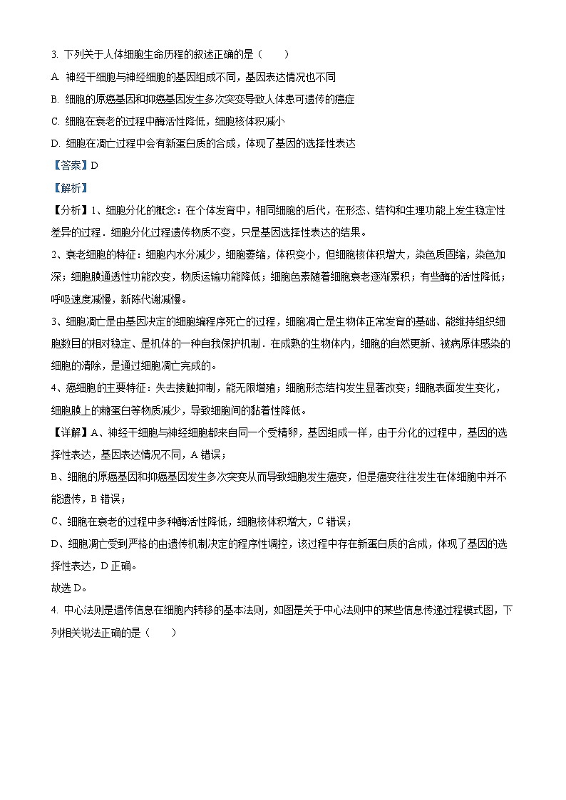 2024届四川省成都市石室中学高三上学期一诊模拟考试理综生物试题（解析版）03