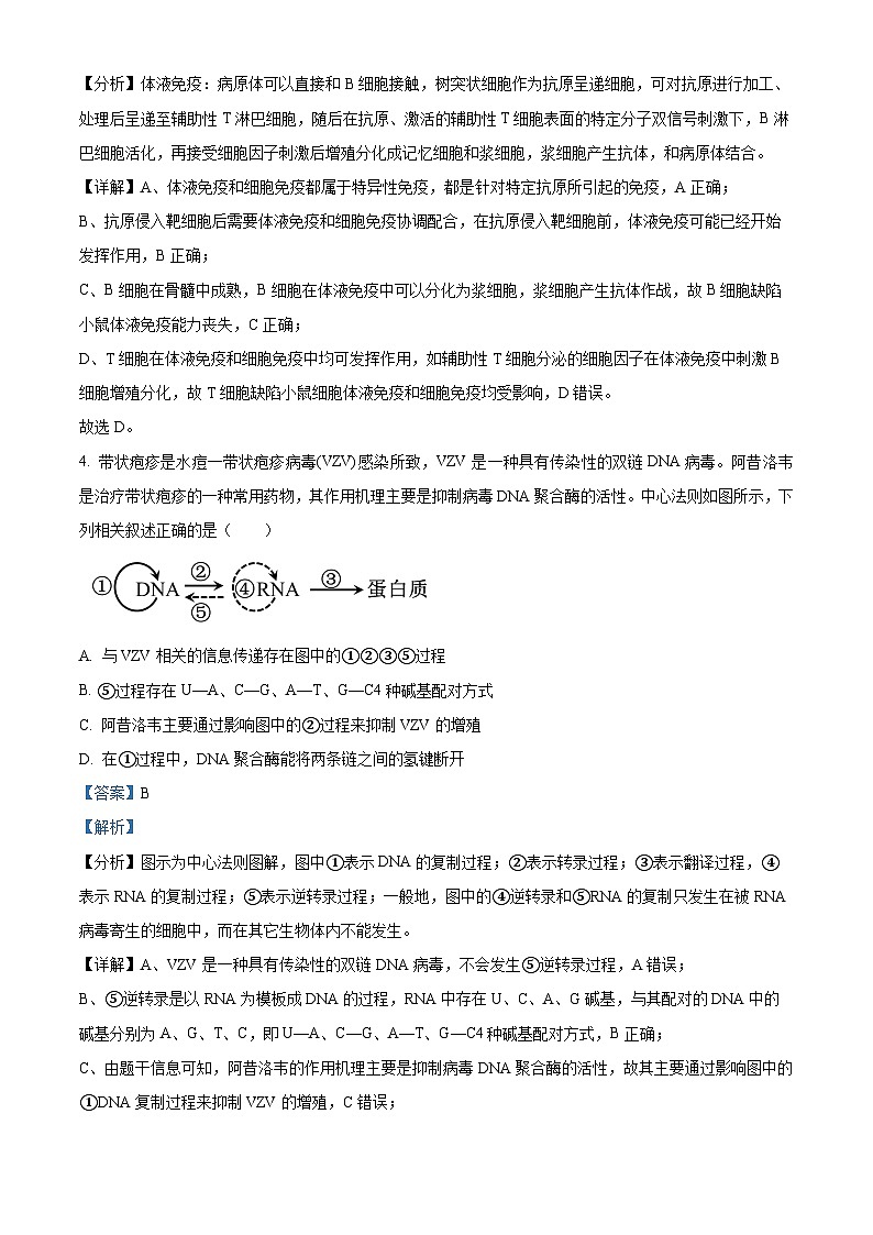 四川省雅安市2023-2024学年高三12月联考理综生物试题（解析版）03