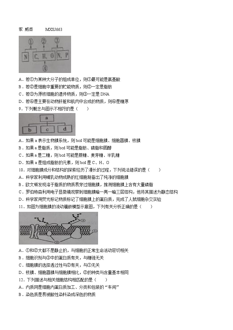 天津市滨海新区田家炳中学2023-2024学年高一上学期第二次月考生物试题02