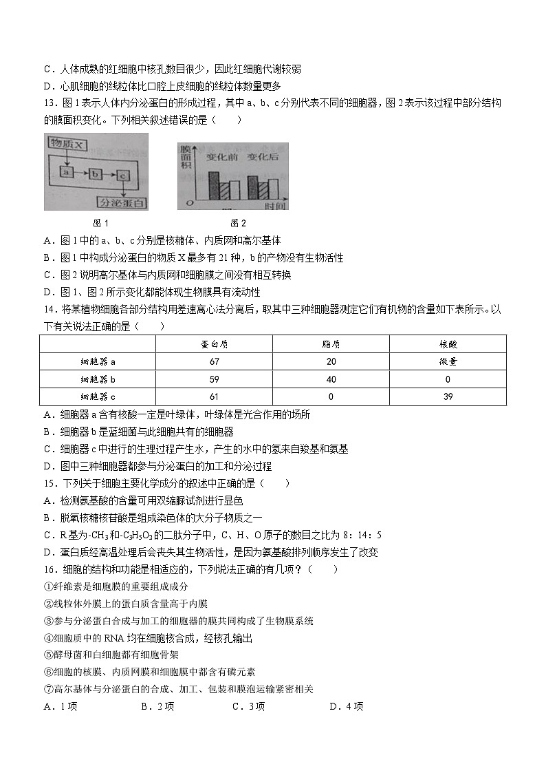 天津市滨海新区田家炳中学2023-2024学年高一上学期第二次月考生物试题03