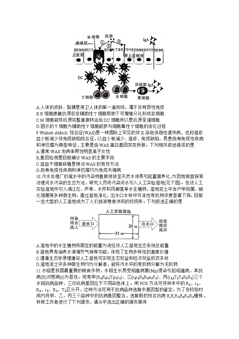 2024江西省高三上学期12月统一调研测试生物含答案03