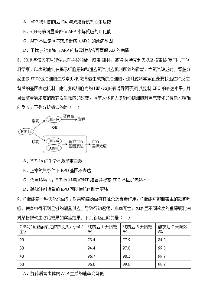 2024赤峰二中高三上学期第四次月考试题生物含答案第3页