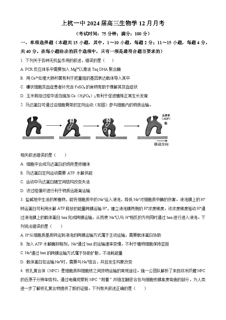 2024龙岩上杭县一中高三上学期12月月考试题生物含解析第1页