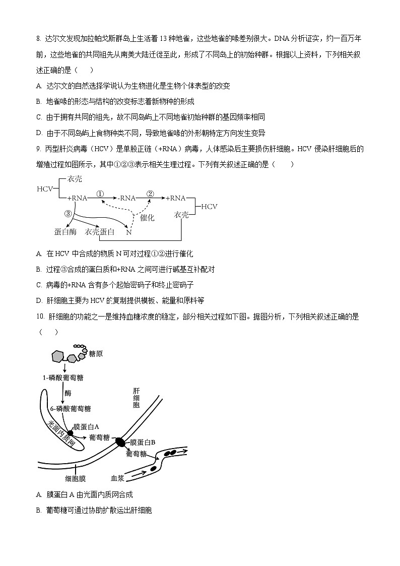 2024龙岩上杭县一中高三上学期12月月考试题生物含解析第3页