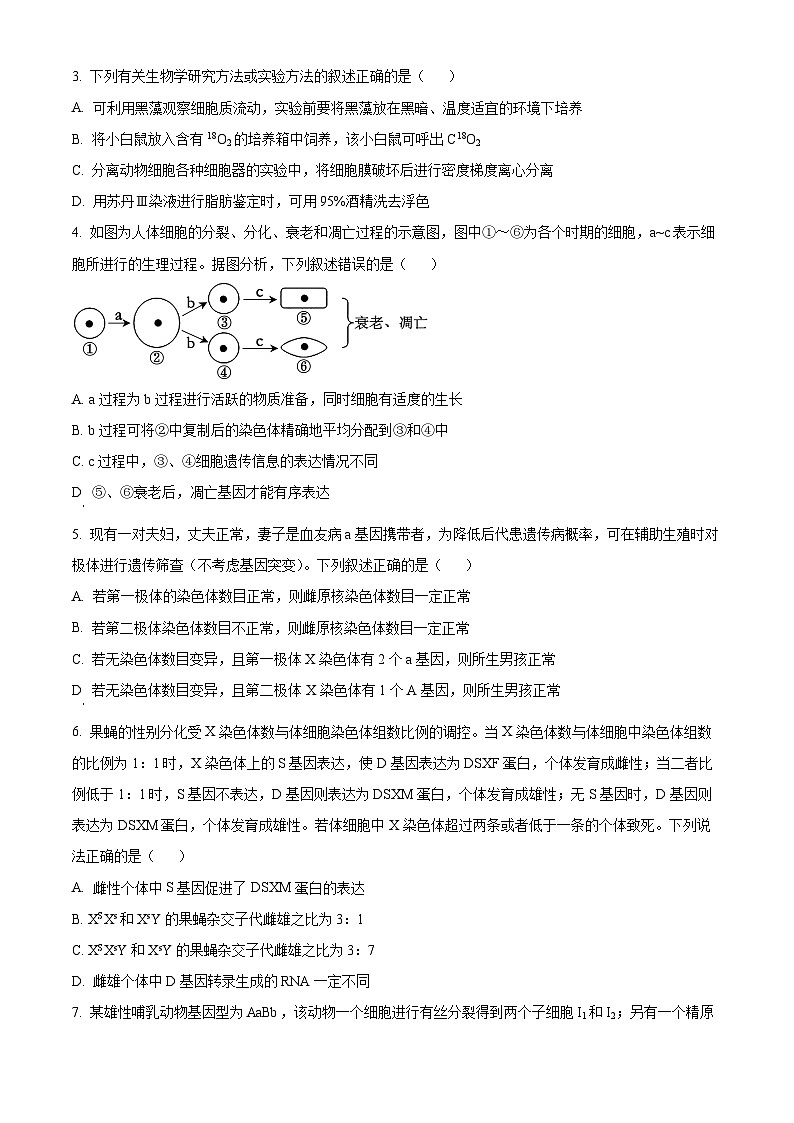2024山东省新高考联合质量测评高三上学期12月联考生物试题wrod版含答案02