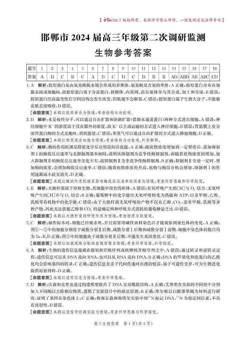 河北省邯郸市2024届高三年级上学期第二次调研监测生物答案第1页