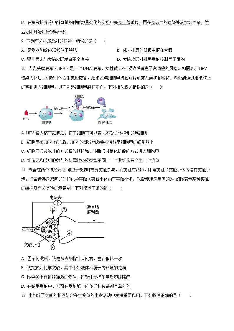 2024周口恒大中学高二上学期12月月考试题生物含解析03