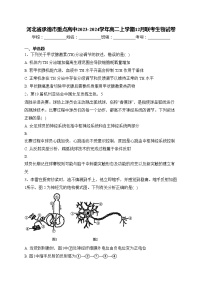 河北省承德市重点高中2023-2024学年高二上学期12月联考生物试卷(含答案)