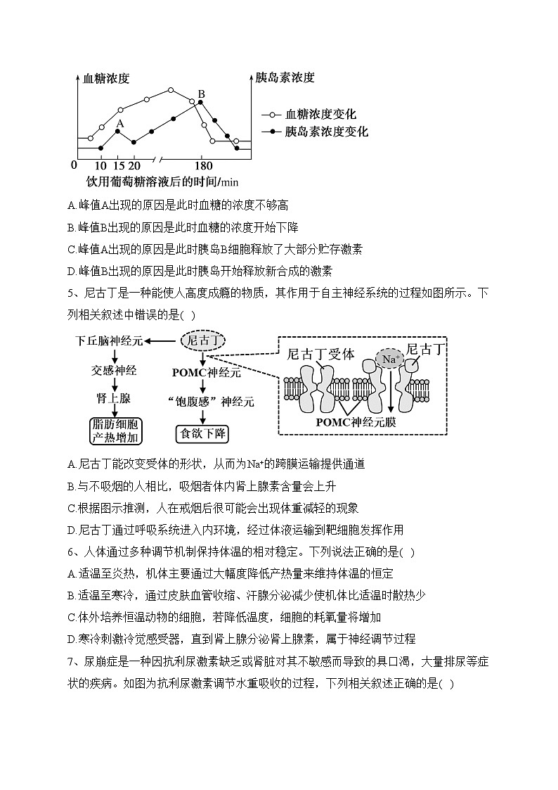 江苏省扬州市高邮市2023-2024学年高二上学期12月学情调研测试生物试卷(含答案)第2页