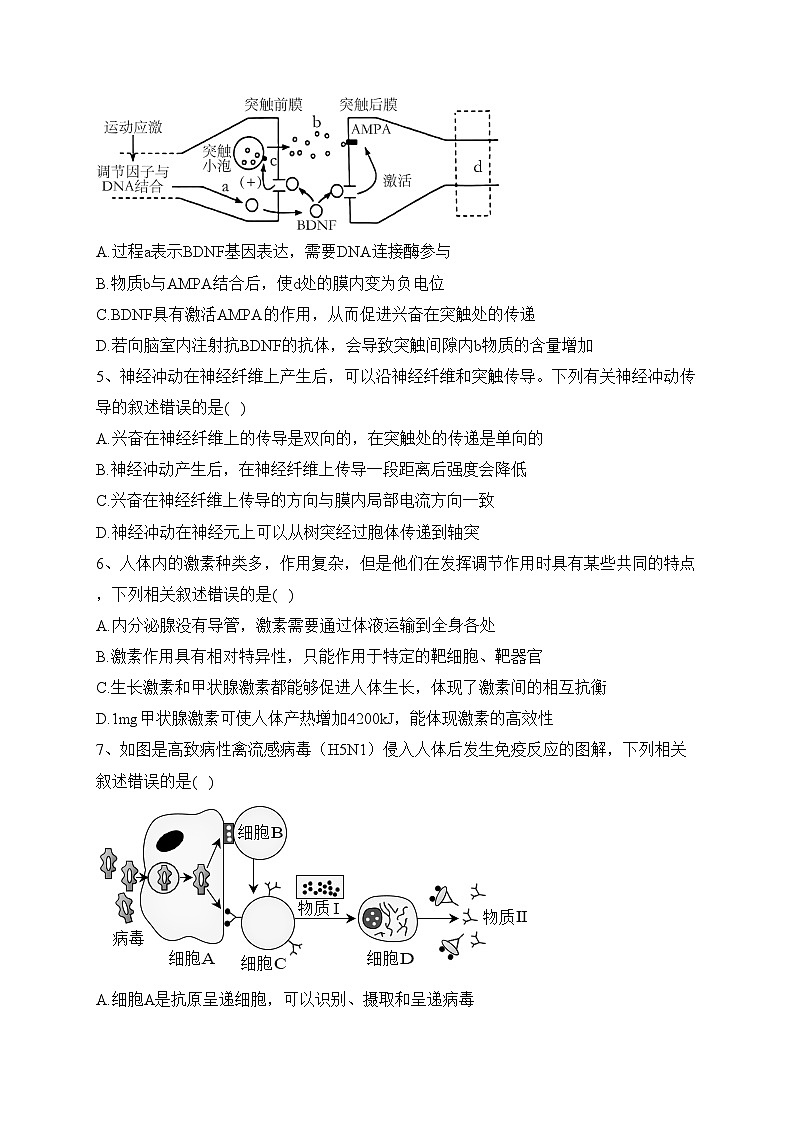 山东省菏泽市鄄城县一中2022-2023学年高二上学期期末生物试题(含答案)第2页