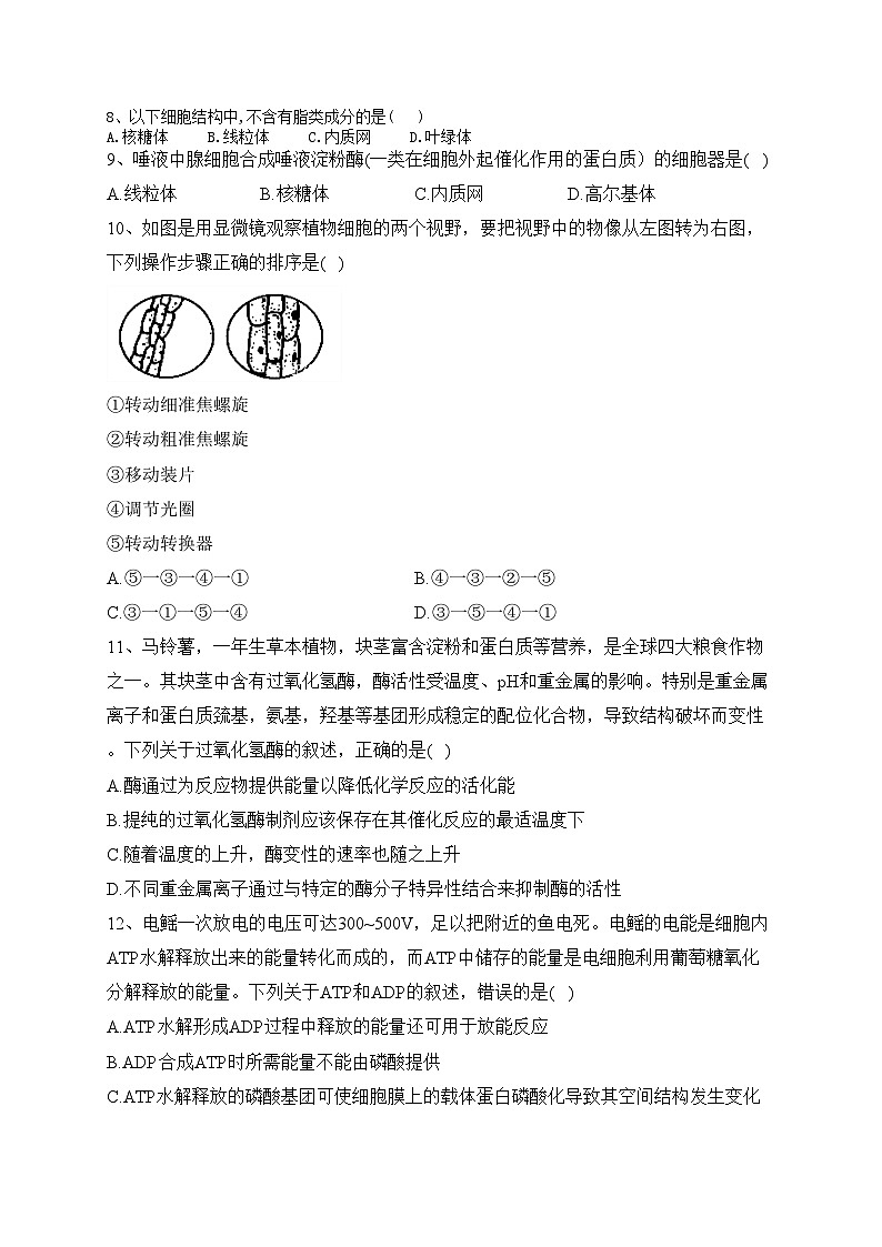 山东省泰安市泰山中学2022-2023学年高一上学期期末生物试题(含答案)02