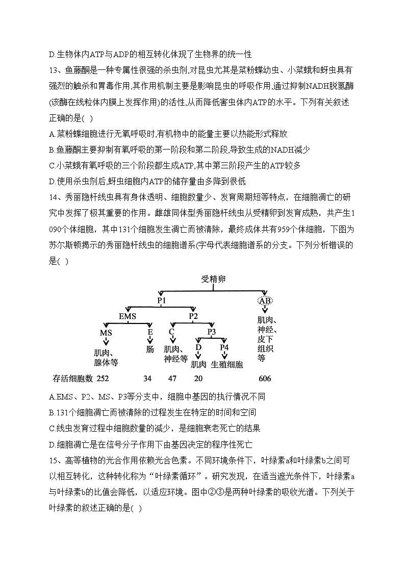 山东省泰安市泰山中学2022-2023学年高一上学期期末生物试题(含答案)03