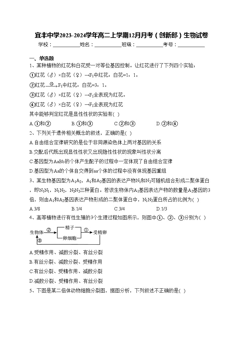 宜丰中学2023-2024学年高二上学期12月月考（创新部）生物试卷(含答案)第1页