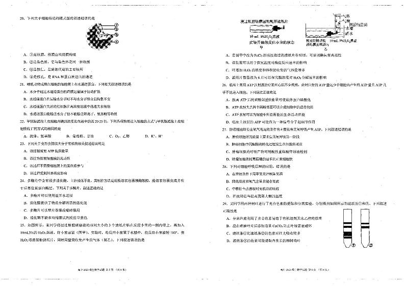四川省凉山彝族自治州安宁河联盟2023-2024学年高一上学期期末联考生物试题第3页