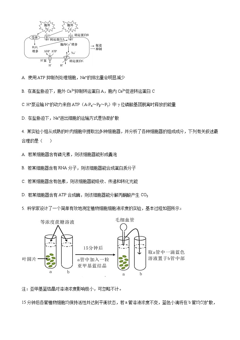 2023-2024学年福建省德化一中、永安一中、漳平一中三校协作高三12月联考生物试题含解析02