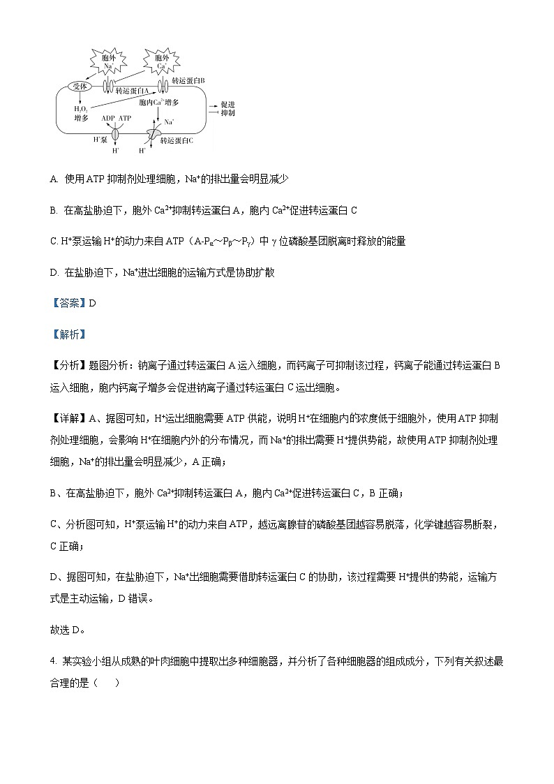 2023-2024学年福建省德化一中、永安一中、漳平一中三校协作高三12月联考生物试题含解析03