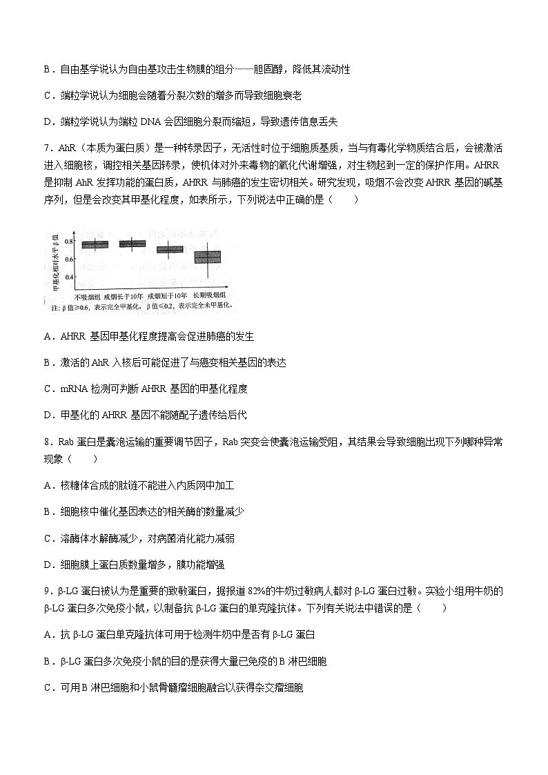 2023-2024学年广东省江门市高三上学期11月大联考试题生物含解析第3页