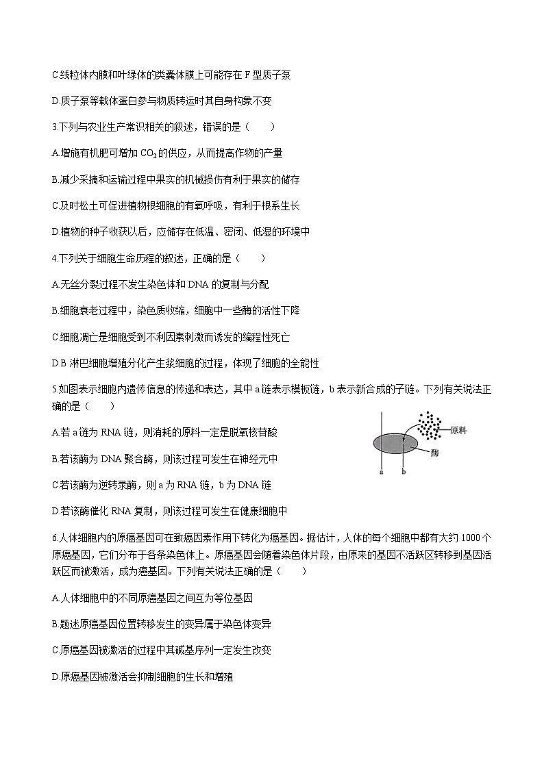 生物试题第2页