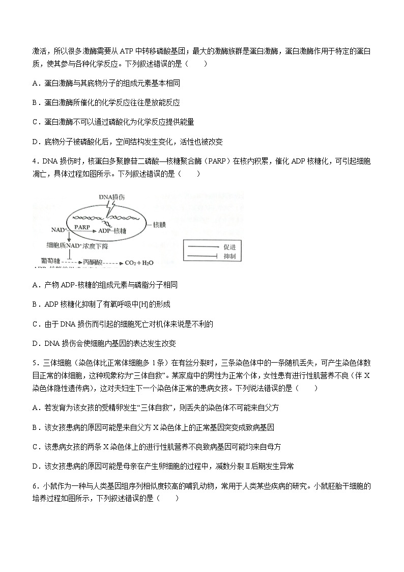 2023-2024学年湖北省荆州中学宜荆荆随高三上学期10月联考生物试题含解析第2页