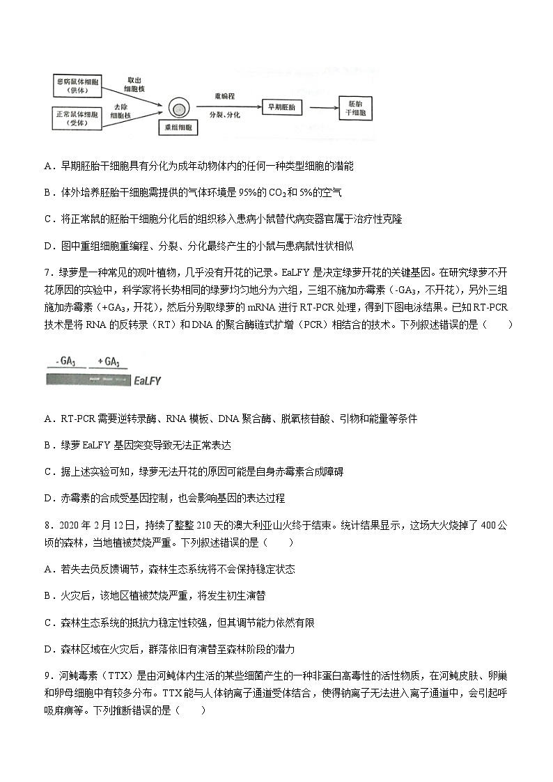 2023-2024学年湖北省荆州中学宜荆荆随高三上学期10月联考生物试题含解析第3页
