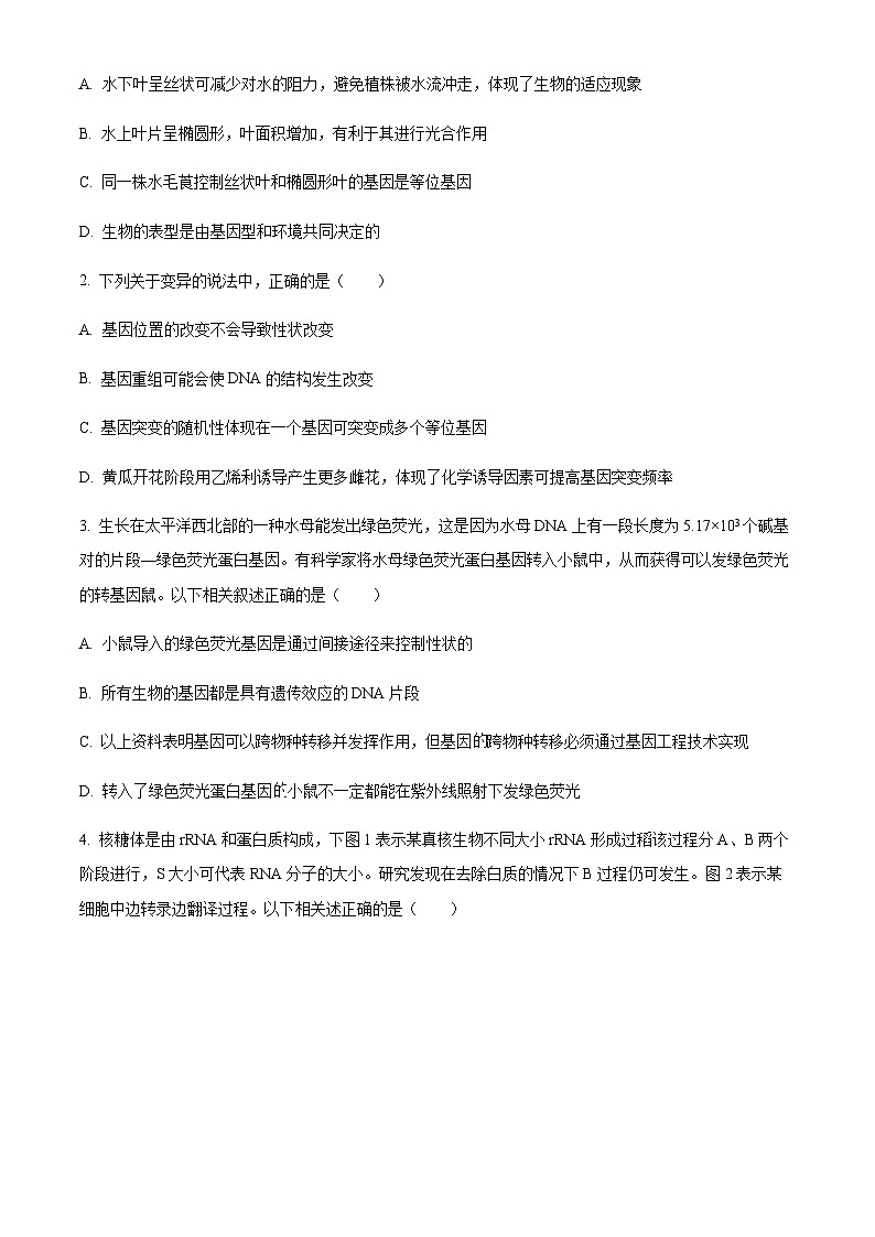 2023-2024学年湖北省腾云联盟高三上学期12月联考生物试卷含解析02