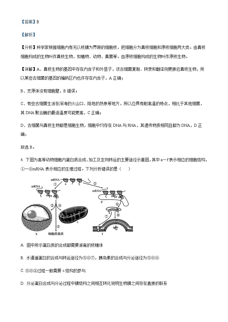 湖南省衡阳市2023-2024学年高三11月联考生物试题（解析版）第3页