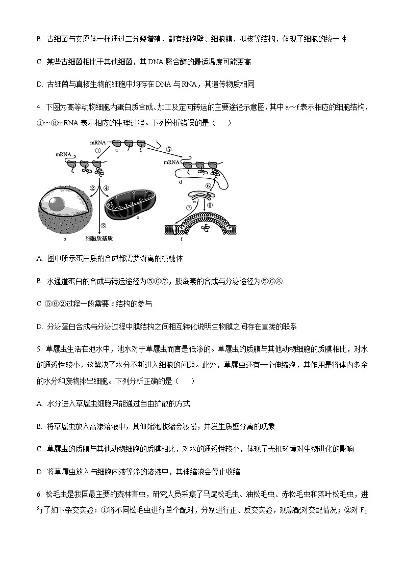 湖南省衡阳市2023-2024学年高三11月联考生物试题（原卷版）第2页
