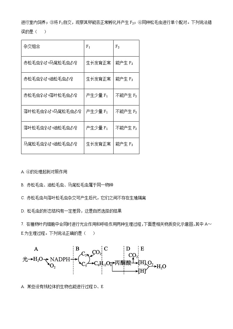 湖南省衡阳市2023-2024学年高三11月联考生物试题（原卷版）第3页