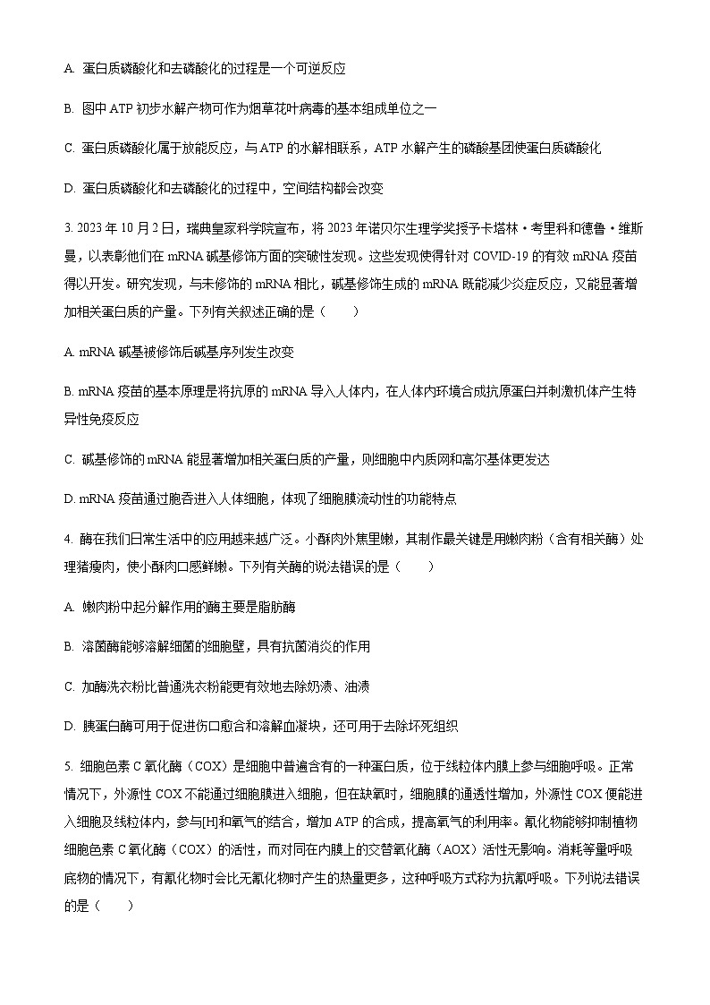 2023-2024学年湖南省湘东九校联盟高三上学期第一次联考生物试卷含解析02