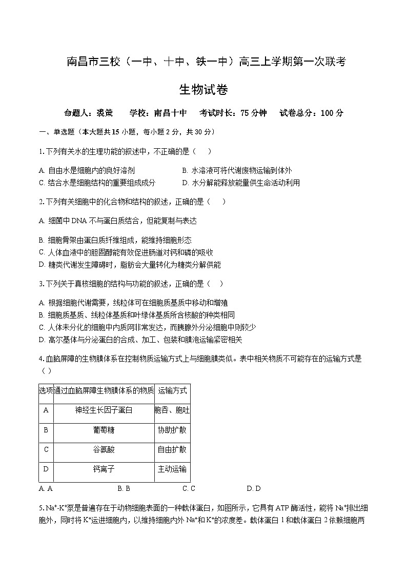 2023-2024学年江西省南昌市三校（南昌市第一中学、南昌市铁路第一中学、南昌市第十中学）高三上学期第一次联考生物含答案第1页