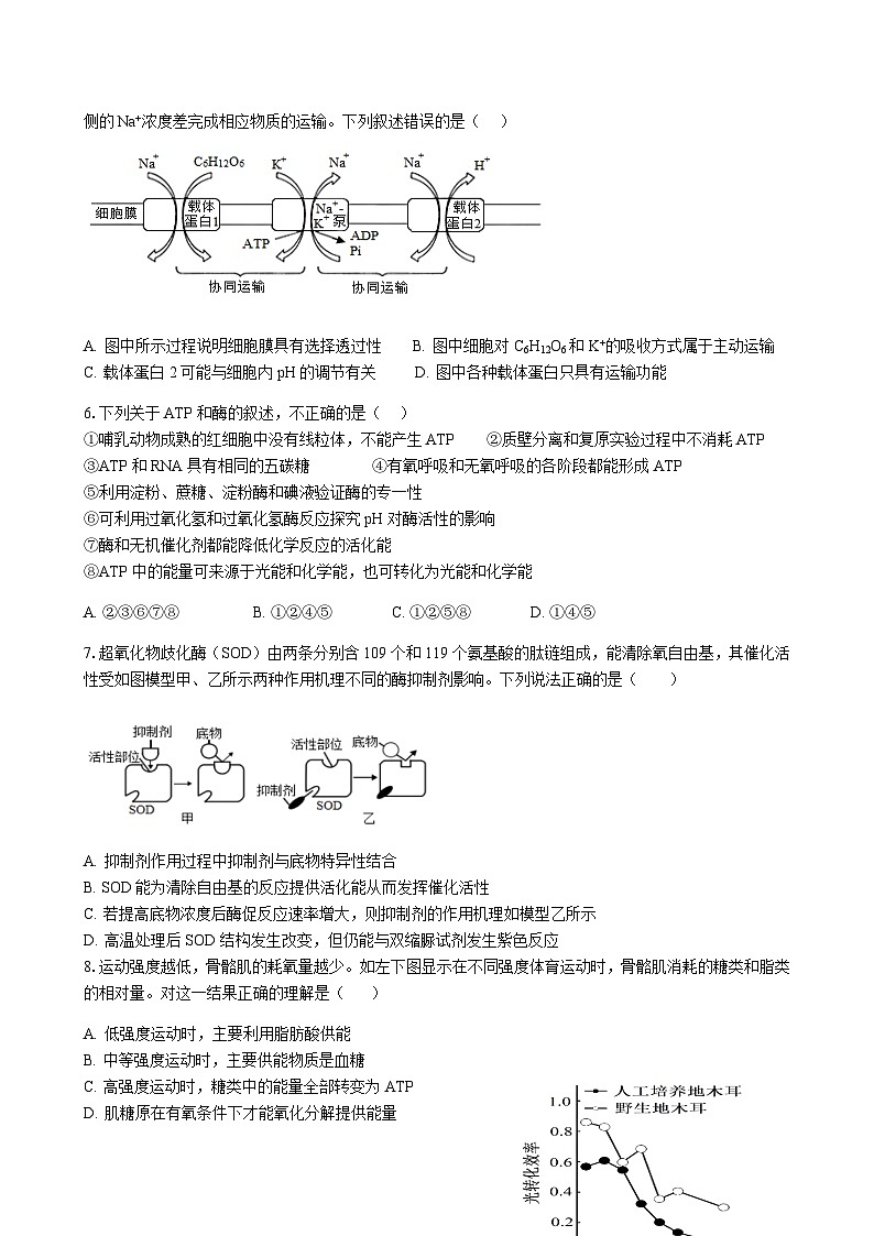 2023-2024学年江西省南昌市三校（南昌市第一中学、南昌市铁路第一中学、南昌市第十中学）高三上学期第一次联考生物含答案第2页